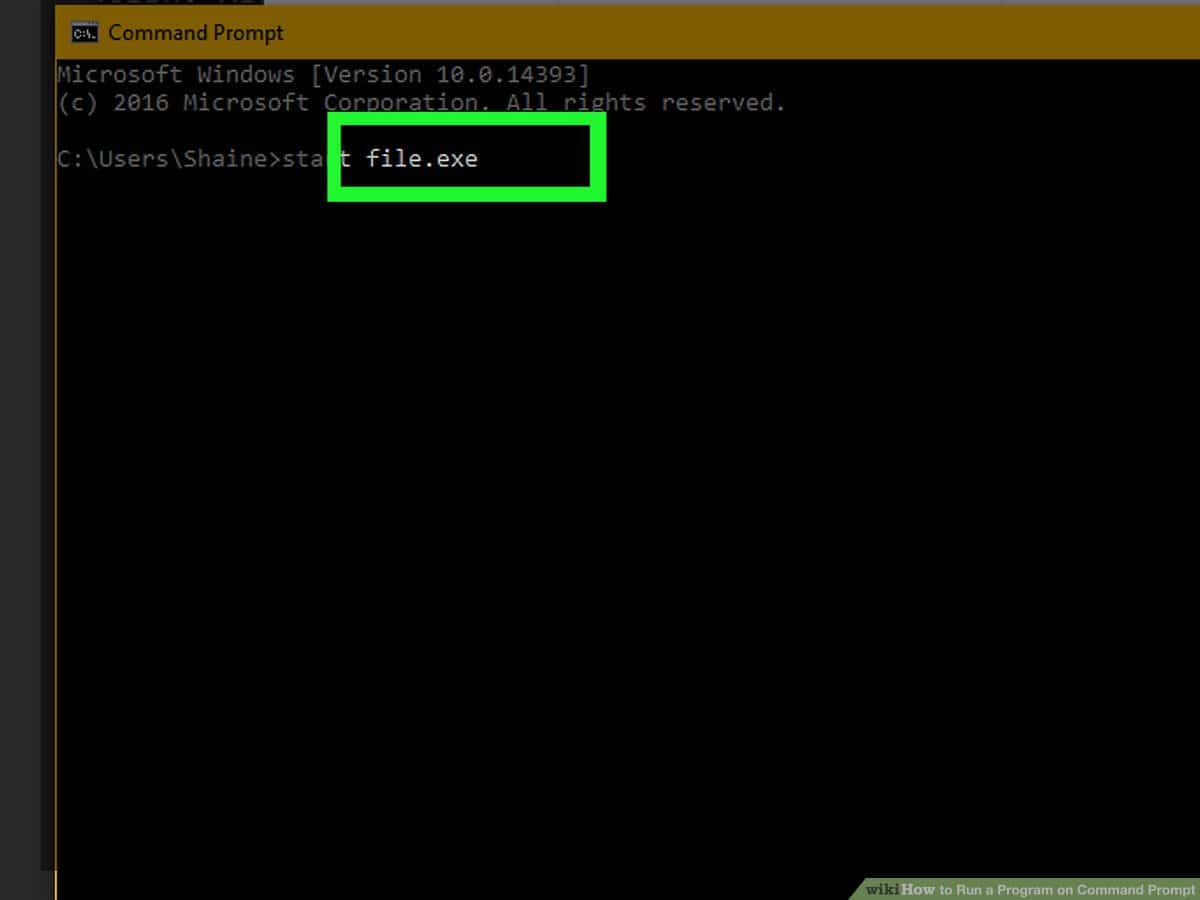 Image Description