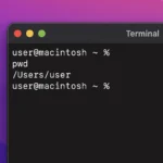 Terminal window showing simple commands on macOS